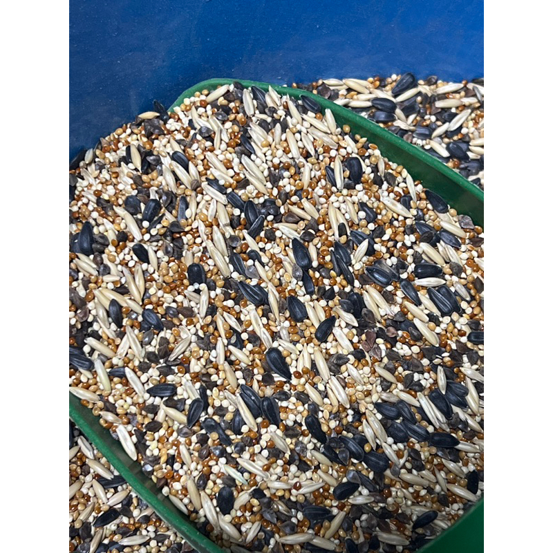 Hạt Trộn Vẹt Nhỏ Và Trung