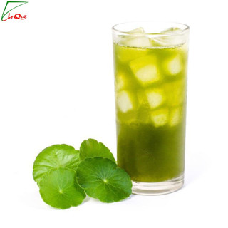 Bột rau má hữu cơ sấy lạnh 10g