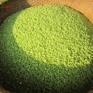 Bột lá riềng hữu cơ sấy lạnh 20g