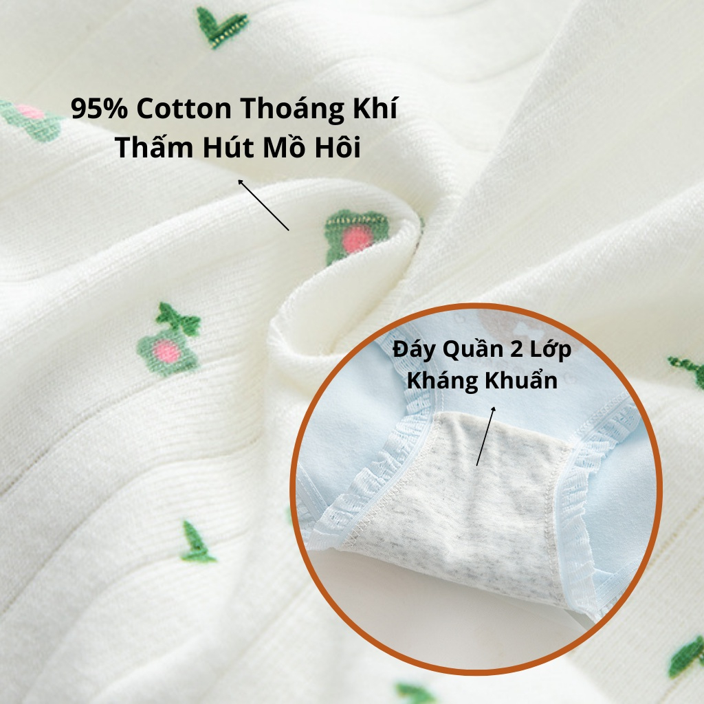 SET 5 Quần Lót Cotton Kháng Khuẩn Thông Hơi Thoáng Khí Thấm Hút Mồ Hôi Voi Con TOPBRA