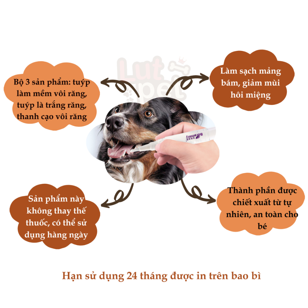 Gel lấy cao răng, vệ sinh loại bỏ mảng bám răng chó mèo, keo lây cao răng thúc cưng - lutpet