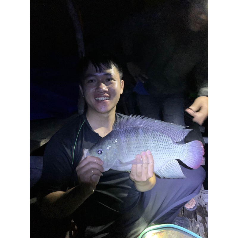 Tinh Tôm câu cá - Chuyên Rô Phi, Diêu Hồng