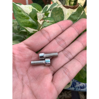 Bu lông ốc vít inox 304 M6 đầu trụ khắc lục giác dài 2cm - giá 1 con
