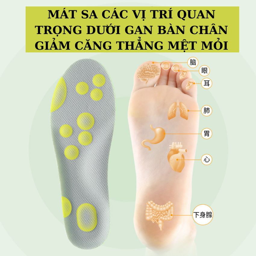 Lót giày thể thao nam nữ 4D cao cấp khử mùi,kháng khuẩn,mát sa chân giảm căng thẳng có thành phẩn ngải cưu LG12