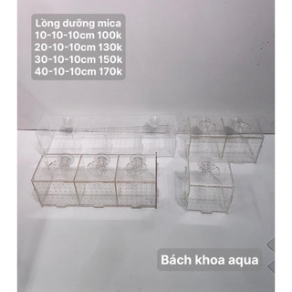 Lồng dưỡng cá- Tép Mica