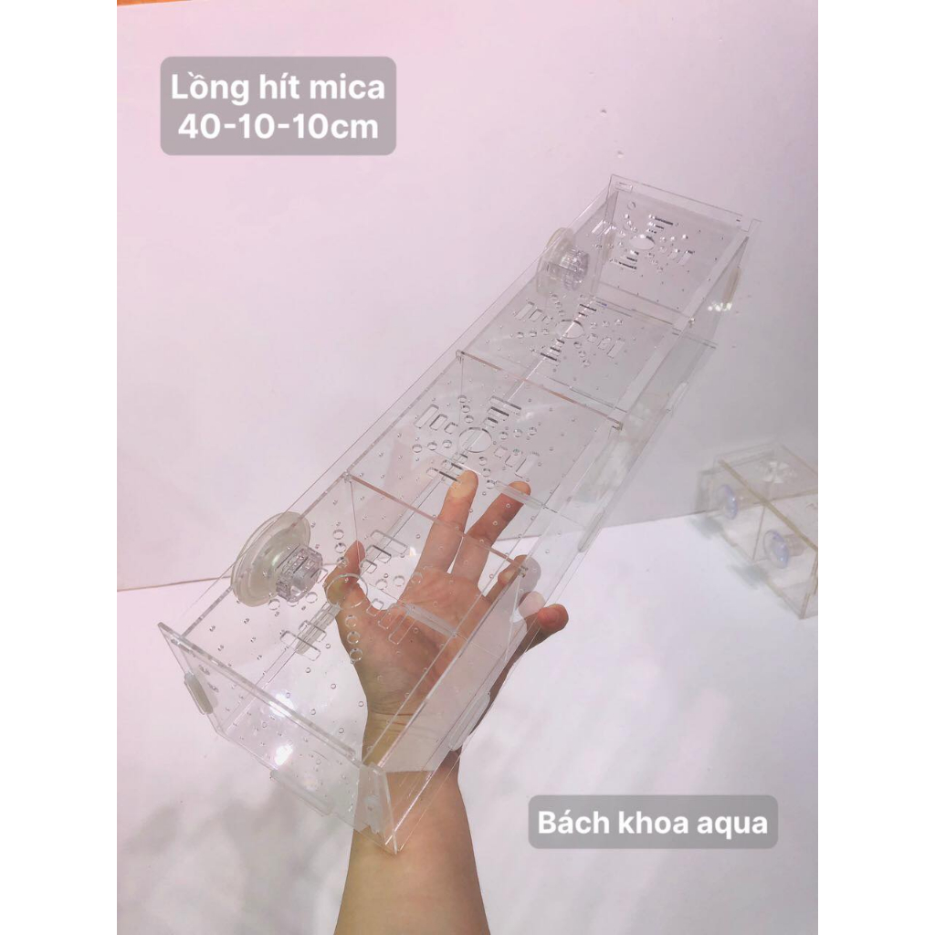Lồng dưỡng cá- Tép Mica
