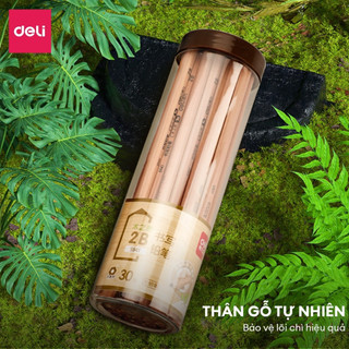 Bút Chì Gỗ Deli 2B