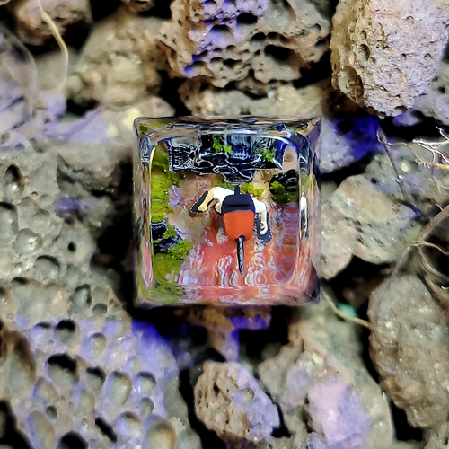 Chansawman keycap , pochita keycap, anime keycap , nút bàn phím cơ chansawman