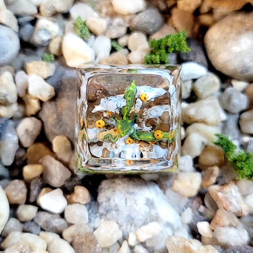 Shenlong keycap, dragon ball keycap , nút bàn phím cơ shenlong trong truyện dragon ball