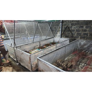 Bể nilong nuôi dế, ốc, ếch, cà cuống, cá nhỏ...(1x2x0,7m)