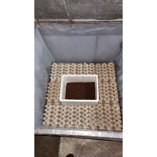 Bể nilong nuôi dế, ốc, ếch, cà cuống, cá nhỏ...(1x2x0,7m)