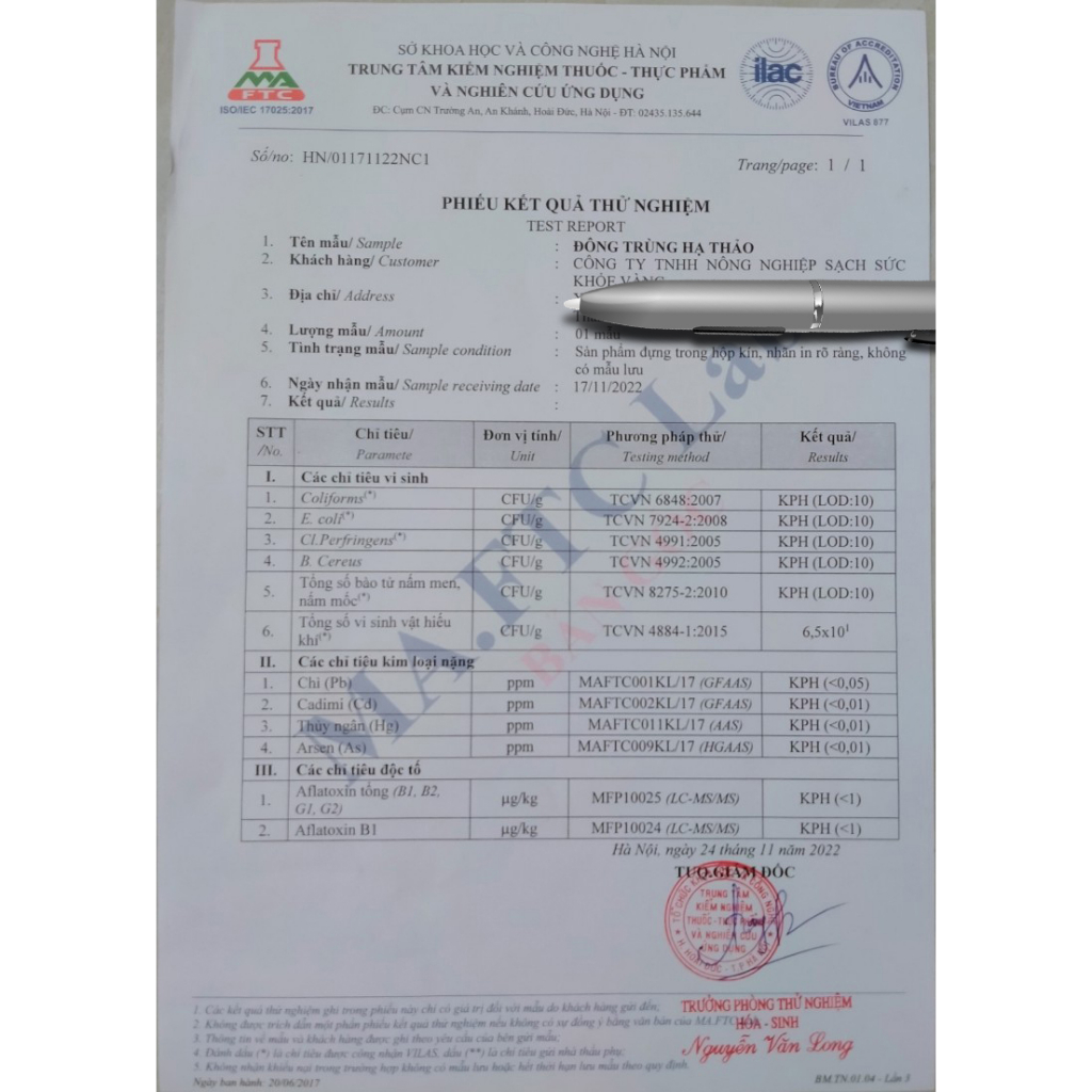 Đông trùng hạ thảo tươi 200gr mua 3 tặng 1, hàng dược chất cao, nuôi trồng 70 ngày