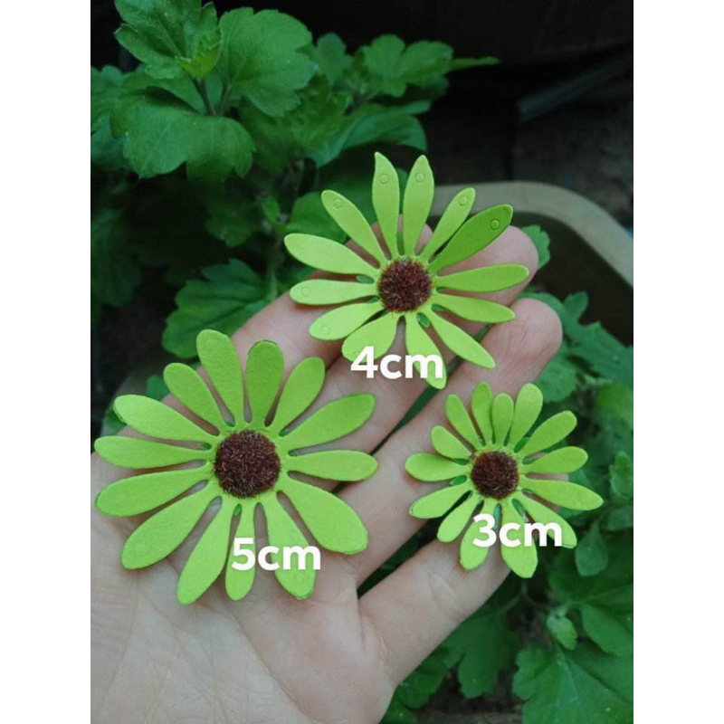 Hoa cúc trang trí bánh kem