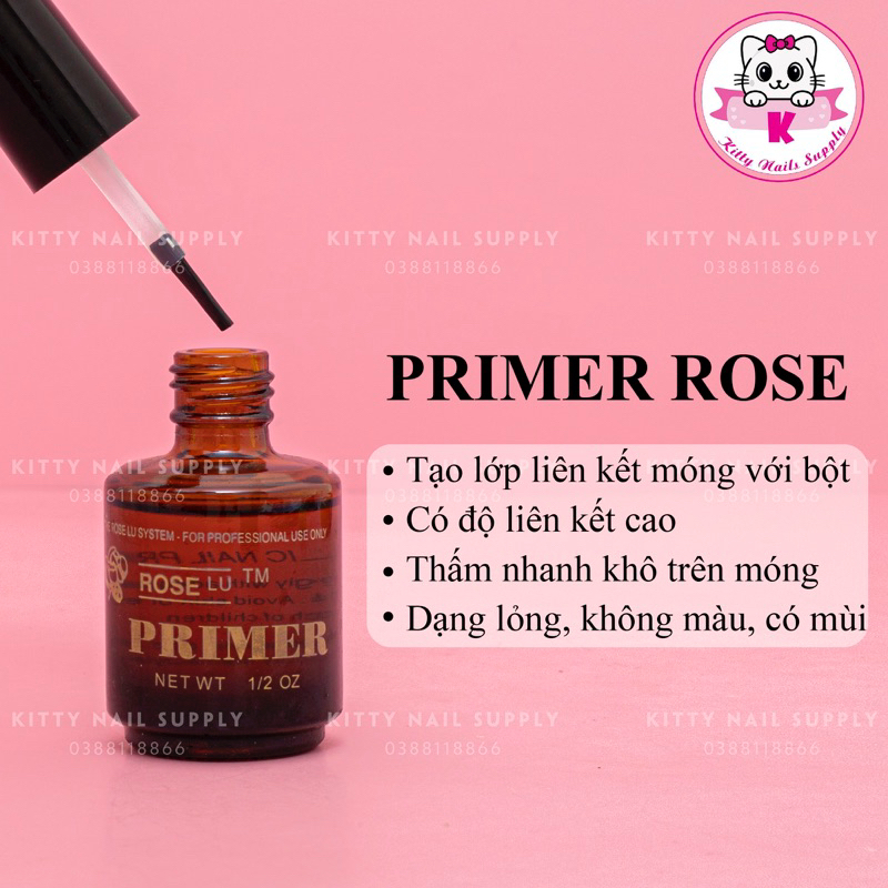 Primer rose hàng nhập khẩu