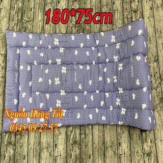 Combo Nệm Văn Phòng Đa Năng Và Gối Ngủ - Nệm Topper