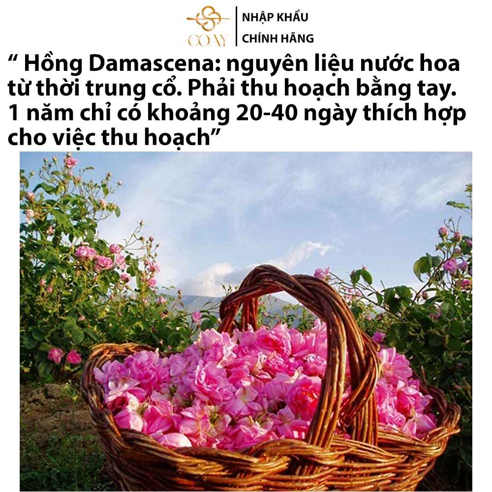 Tinh dầu hoa, ủ và dưỡng thơm vùng kín COAY , nước hoa nữ thơm lâu