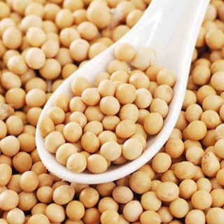500gr Đậu nành quê hạt nhỏ ( đậu quê làm sữa đậu nành, làm đậu hũ, ngũ cốc)