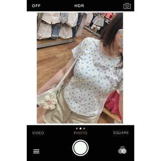  Áo thun ren nơ hoa nhí trơn || Baby Tee || Cotton co giãn bốn chiều - MOME.VN 