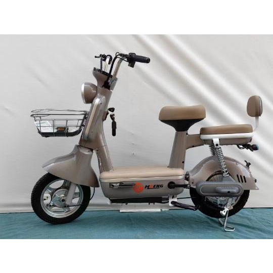 Xe Đạp Điện Teen Thế Hệ Mới 2023