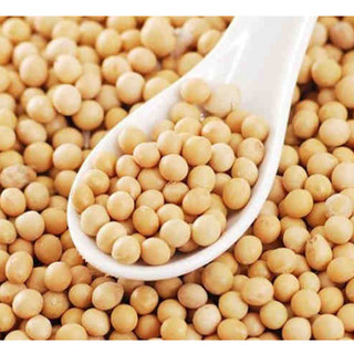 1kg Đậu nành quê hạt nhỏ ( đậu quê để ủ mầm, làm sữa đậu nành, làm đậu hũ, ngũ cốc)