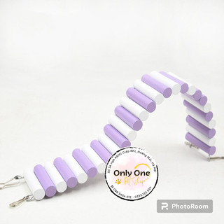 Cầu thang gỗ uốn cho Hamster