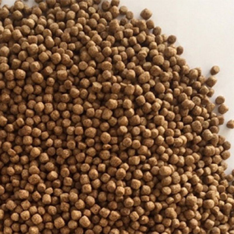 1kg cám cá Hà Lan 7118,7005,F918 cho cá tạp, mồi câu giá tốt nhất