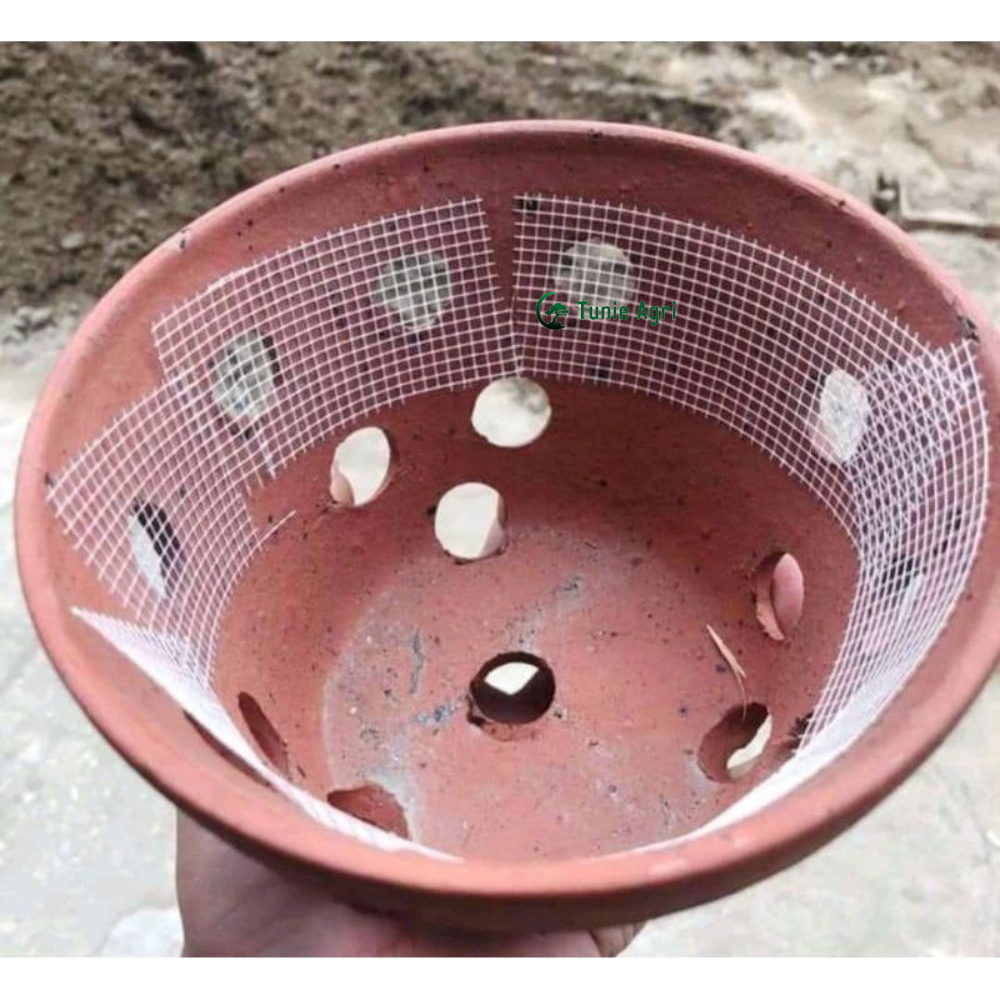 Cuộn Keo Lưới Dán Thạch Cao Miếng lưới dán Lót Chậu, Tránh Rơi Rớt Giá Thể Dài 30m