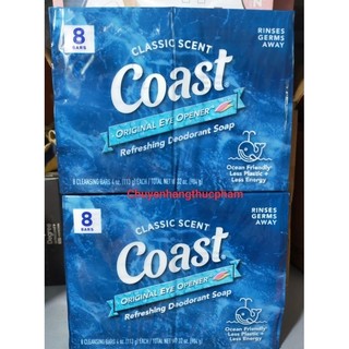XÀ BÔNG CỤC COAST HÀNG MỸ 113g ( Nguyên Lốc 8 Cục)