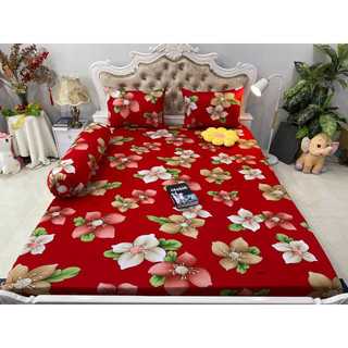 Bộ drap thun hàn quốc 4 món mát mịn