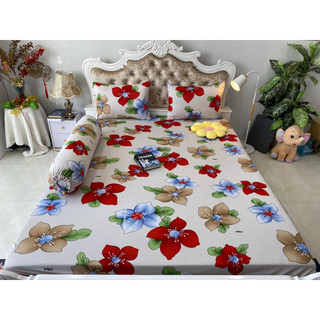 Bộ drap thun hàn quốc 4 món mát mịn