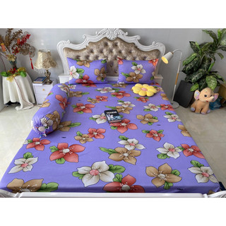 Bộ drap thun hàn quốc 4 món mát mịn