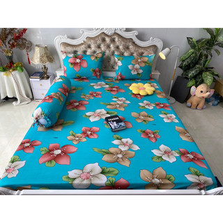 Bộ drap thun hàn quốc 4 món mát mịn