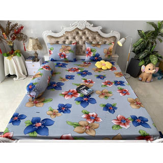 Bộ drap thun hàn quốc 4 món mát mịn