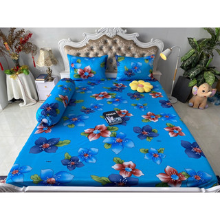 Bộ drap thun hàn quốc 4 món mát mịn