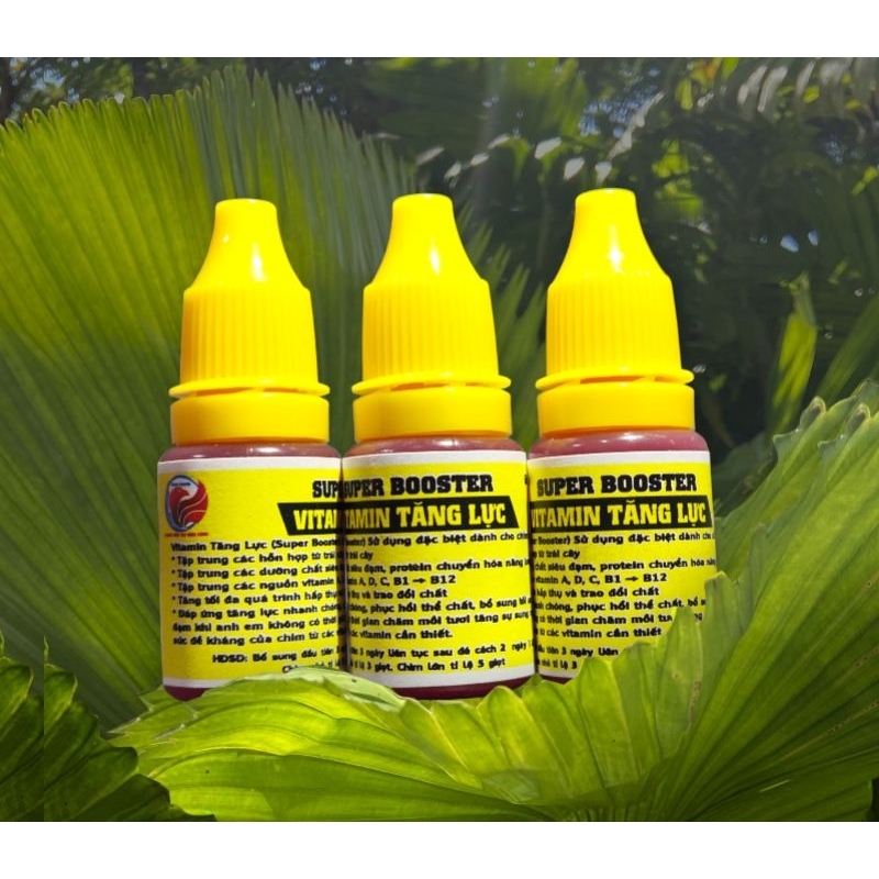 VITAMIN CĂNG LỬA - TĂNG LỰC ĐẤU