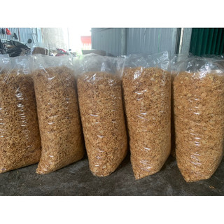 Hành indo phi sơ bột loại 1