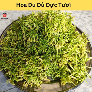 Hoa đu đủ đực sấy lạnh loại đẹp (500gr)