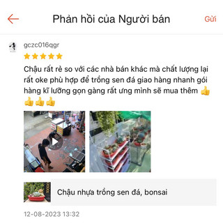 Chậu nhựa đan mây