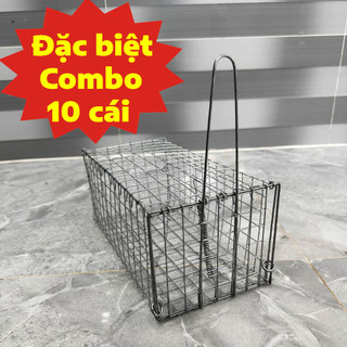 Combo 10 bẫy chuột cống nhum, bẫy bìm bịp có khoen chống sẩy