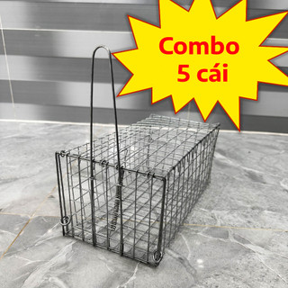 Combo 5 bẫy chuột cống nhum, bẫy bìm bịp có khoen chống sẩy