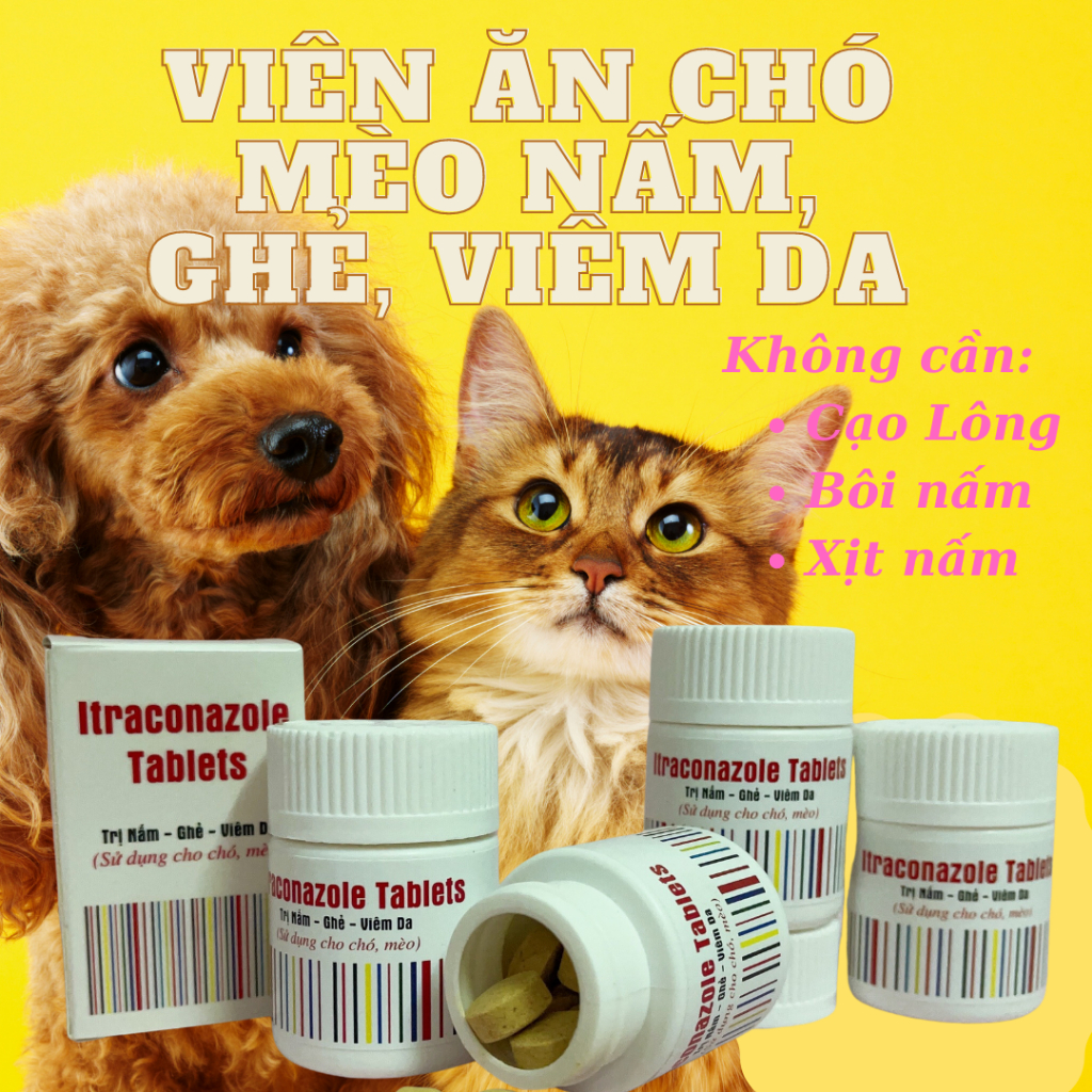 Viên ăn nấm, ghẻ, viêm da. Cho ăn là hết nấm