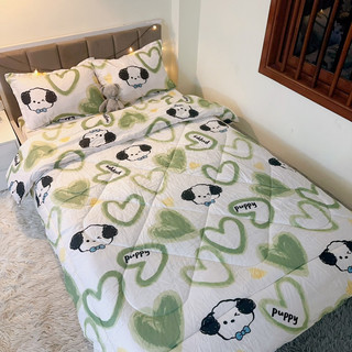 Bộ Chăn chần bông phao 5 món