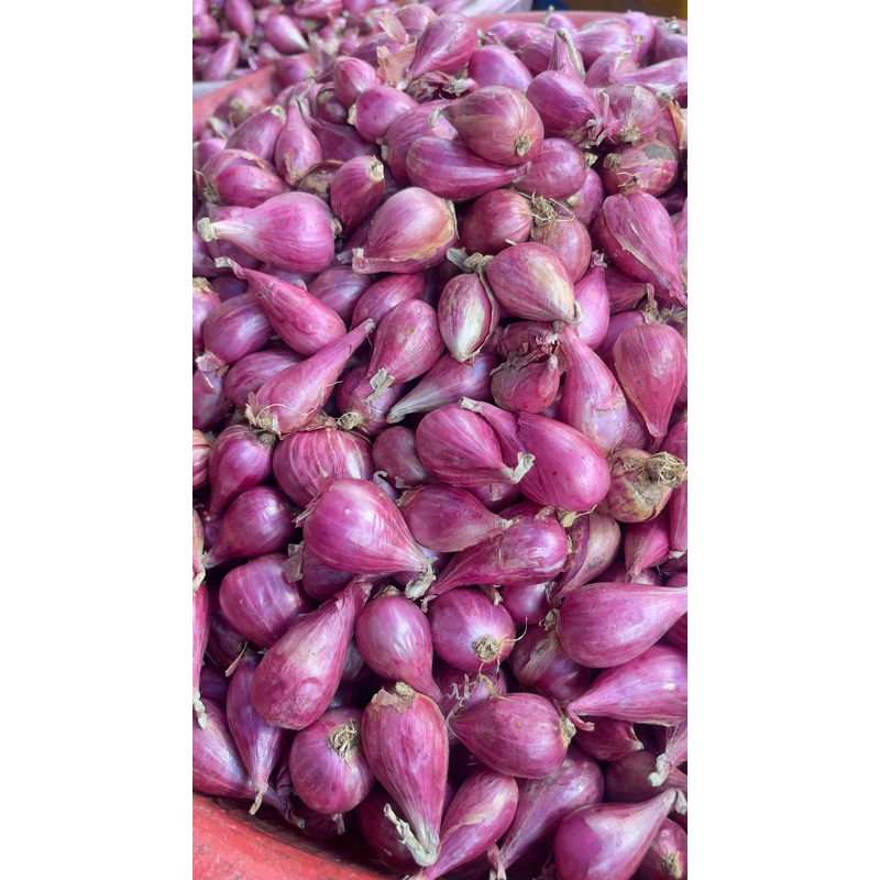 Hành tím lý Sơn quảng Ngãi -túi lưới 500g