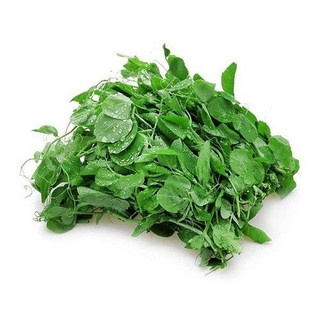 15gr - hạt giống đậu hà lan ăn lá nảy mầm 100%