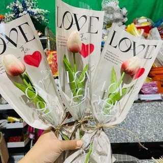 Sỉ bó hoa tu lip tại đây