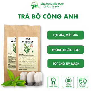 Trà bồ công anh, hỗ trợ ngăn ngừa u xơ - Tổng kho sỉ thảo dược
