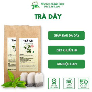 Trà dây túi lọc, hỗ trợ giảm đau dạ dày, diệt khuẩn HP - Tổng kho sỉ thảo dược