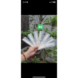 Bộ dao dĩa bánh sinh nhật +trung thu