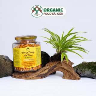 Combo đông trùng hạ thảo fansi - 2 hộp 10gr