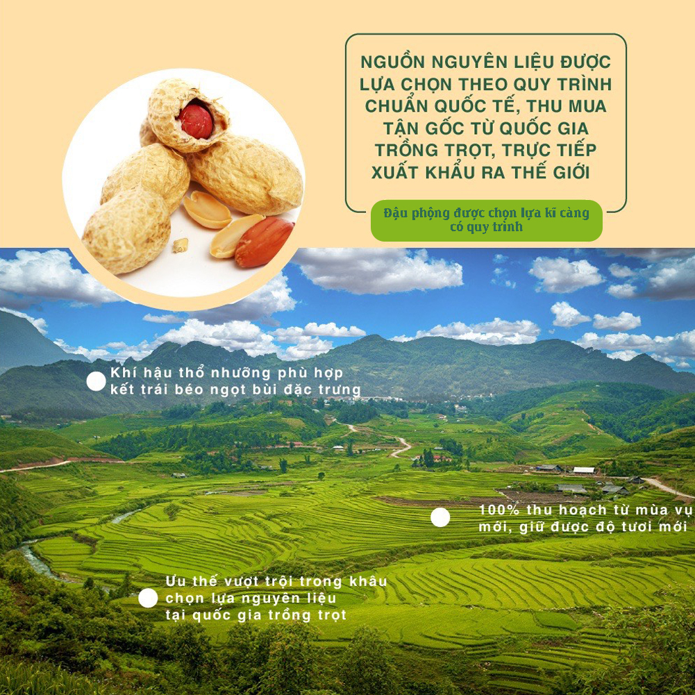 Bơ đậu phộng hạt và mịn tự nhiên không chất bảo quản, dinh dưỡng năng lượng 200g Dan D Pak